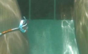 Raunchy girlie Londyn is gently sucking guy's shlong like a real whore