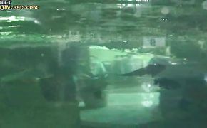 Sensual blonde Daisy is a plumper that gladly shows her curves