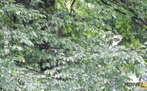 Wicked blonde teenie in a hot action